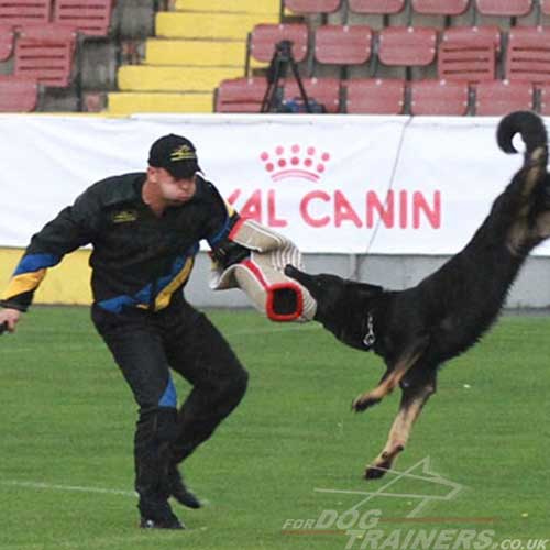 schutzhund dog training suit